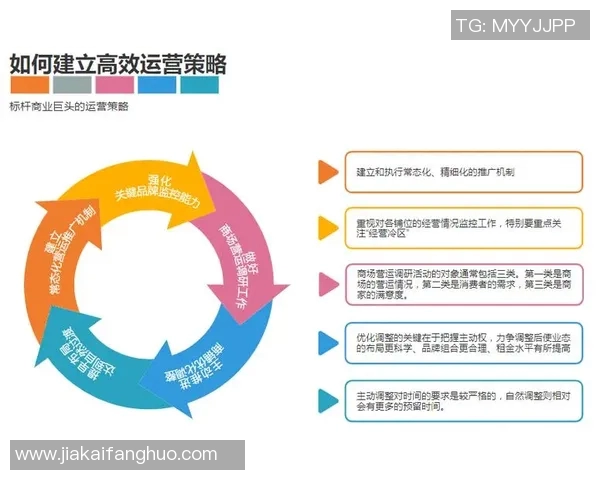 深入分析上海飞盘队的运营策略与发展模式探秘