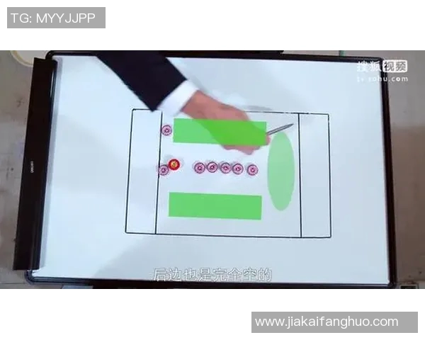 深入分析北京飞盘队的战术演变与转换打法的独特魅力